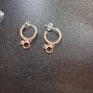 Elegant Silver and Gold Hoop Earrings